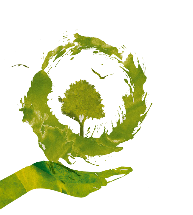 Agricultural Activities